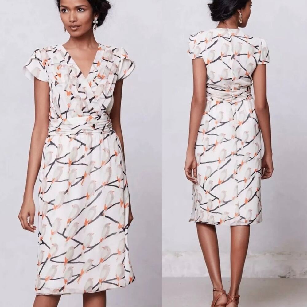 Anthropologie Erin Featherston SONGBIRD Chiffon Dress Size 2